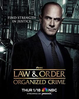 法律与秩序：组织犯罪 第四季 第9集